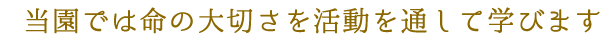 当園では命の大切さを活動を通して学びます